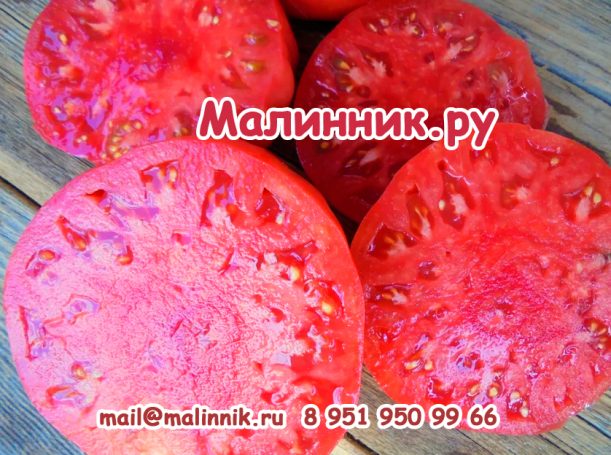 ТОМАТ БЫЧЬЕ СЕРДЦЕ РОЗОВОЕ