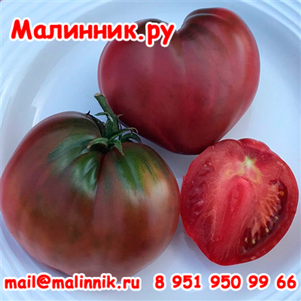 Сорт томата "ФИОЛЕТОВАЯ КЛУБНИКА" семена от коллекционера Томат "ФИОЛЕТОВАЯ КЛУБНИКА" фото, семена от Малинник.Ру