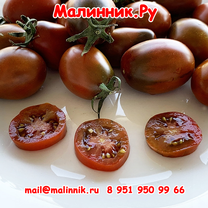 14 черный император