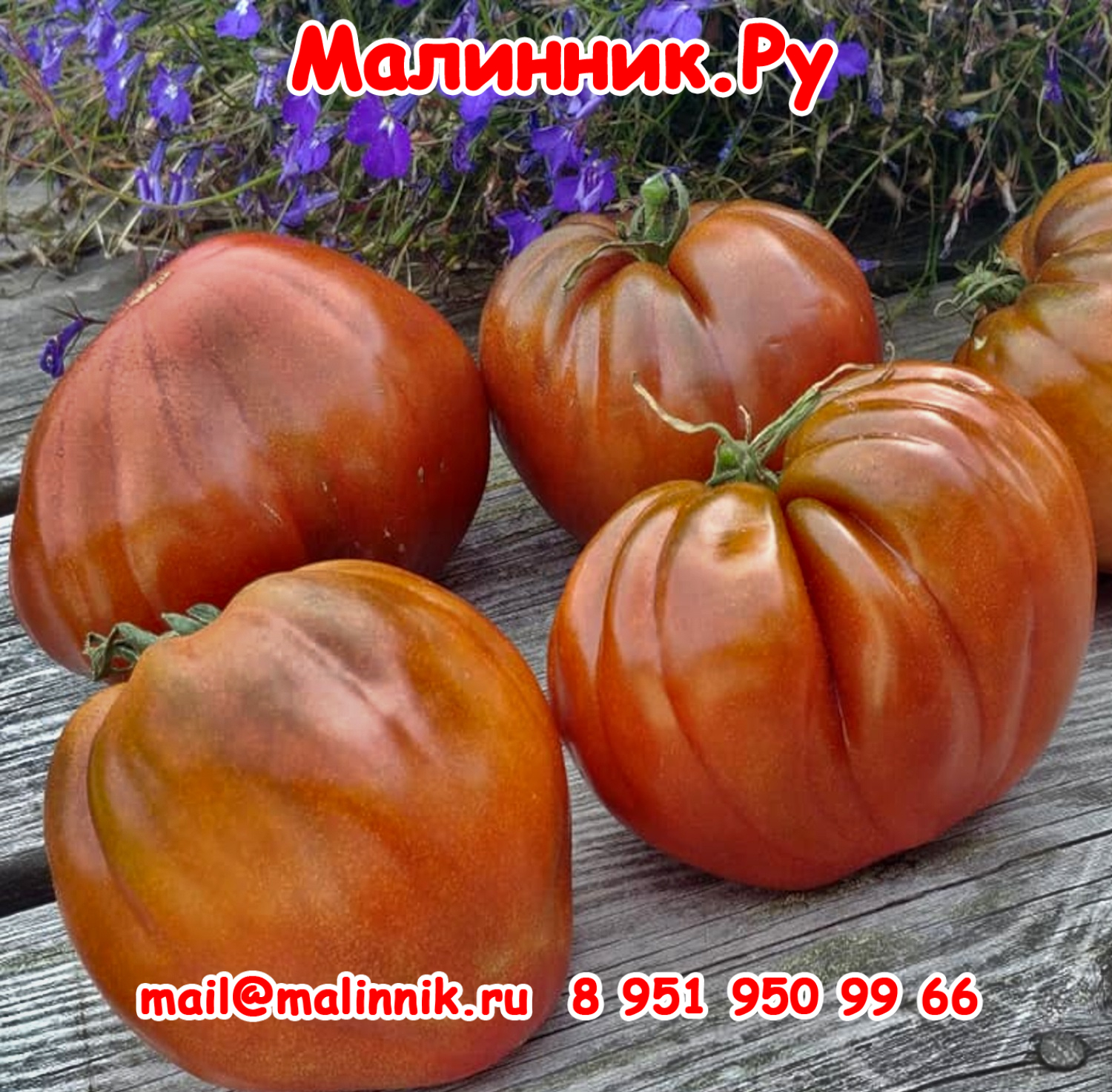 15 секрет алифирова картофельный лист