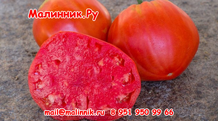 19 минусинские от старожил