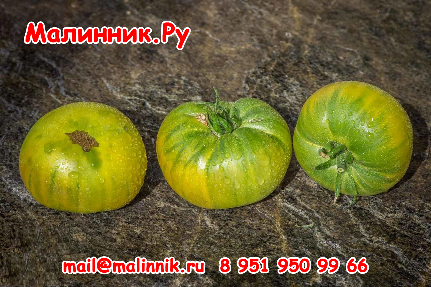 7 зеленый куапо