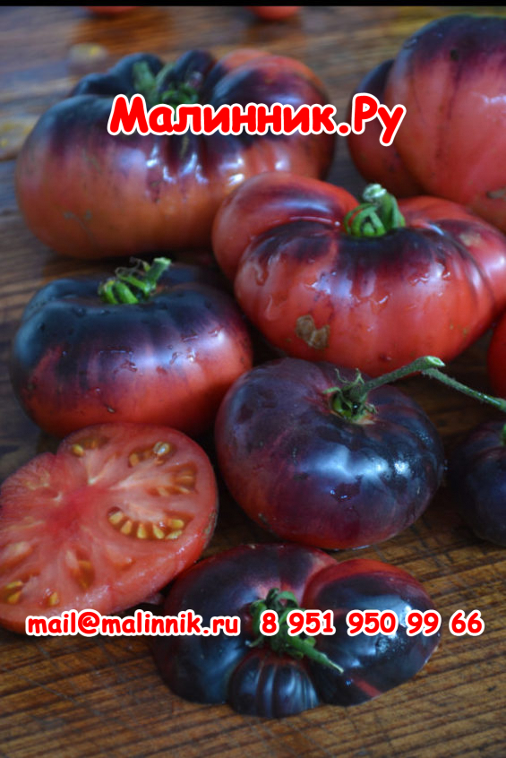 blue-beauty-e1579756167746