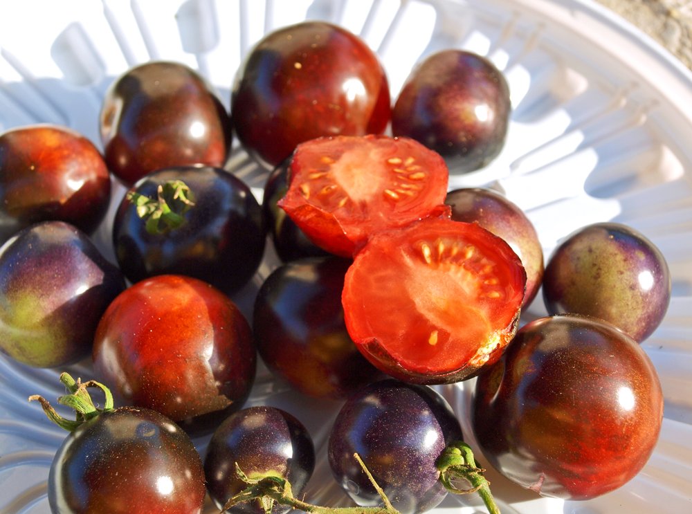 Чёрная Клубника