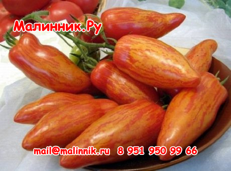 images_cms-image-000088822