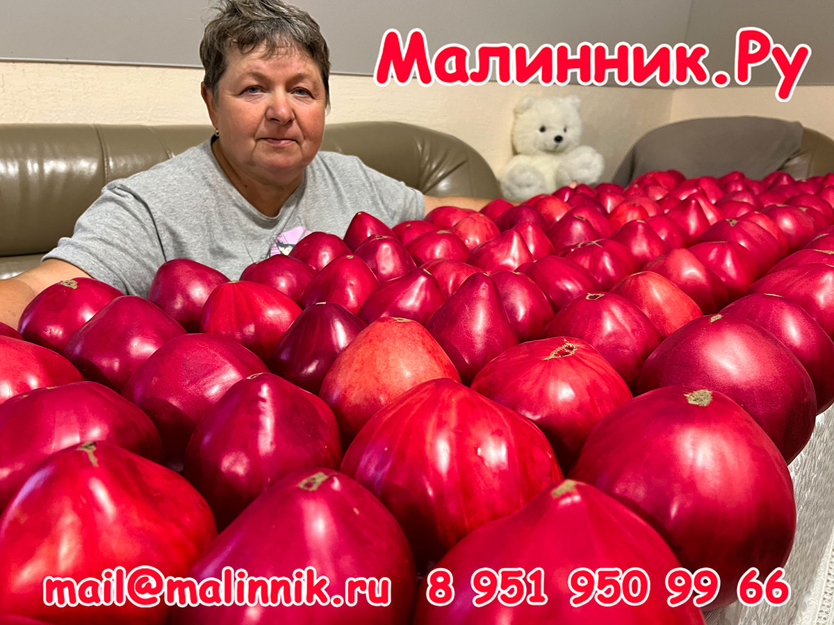 IMG_6453-01