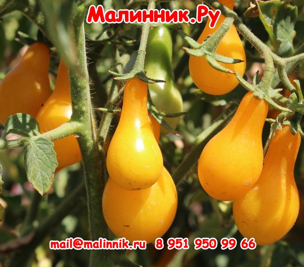 NEWS_160219716_AR_0_VLNUODOBUNPW