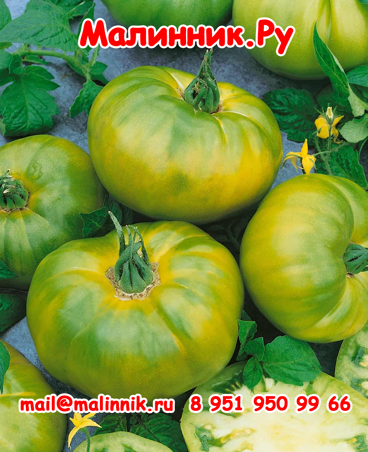 1 восьмое чудо света