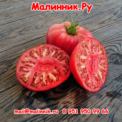 10 томат Розовый Слон