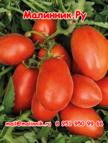 13 молодчина