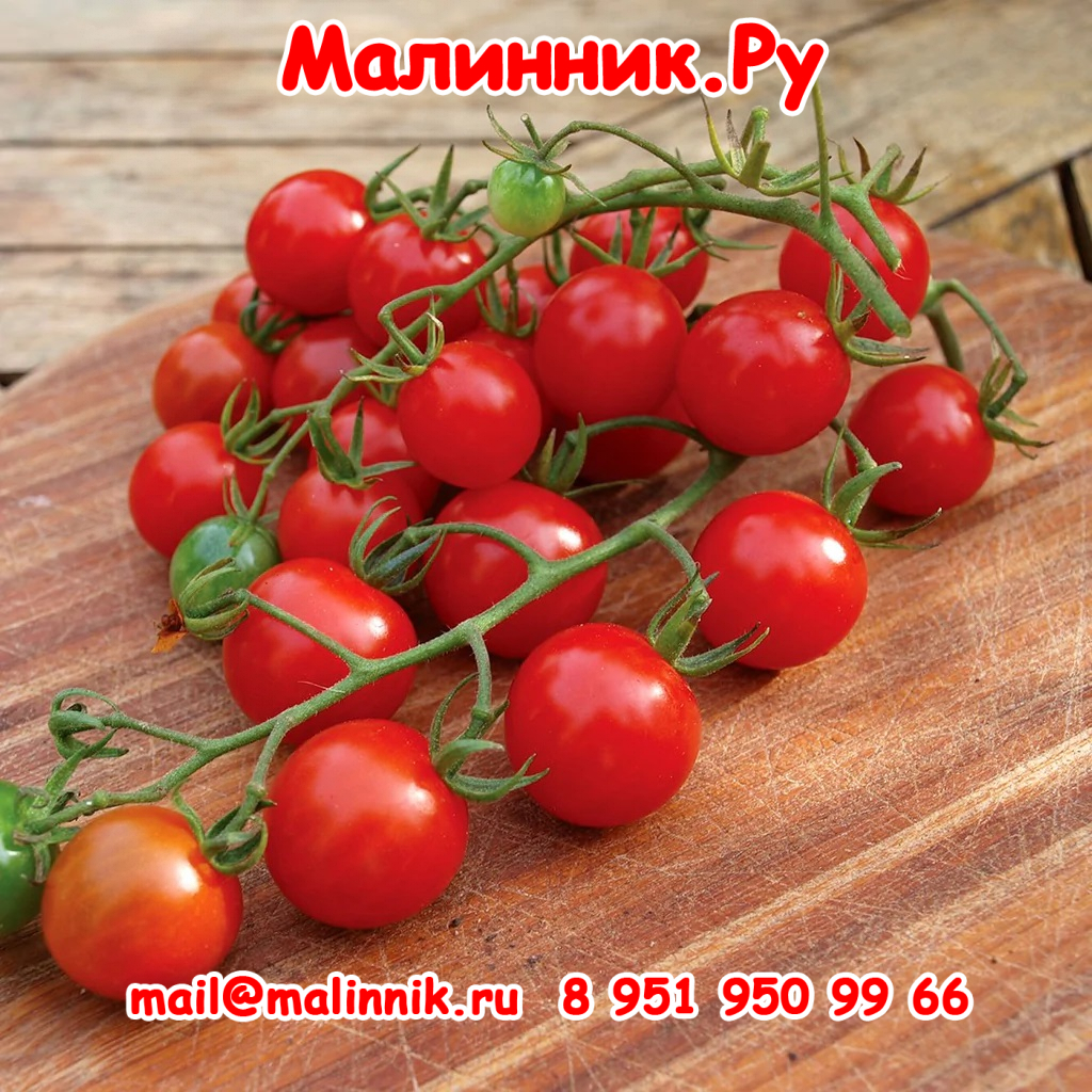 16 виноградные