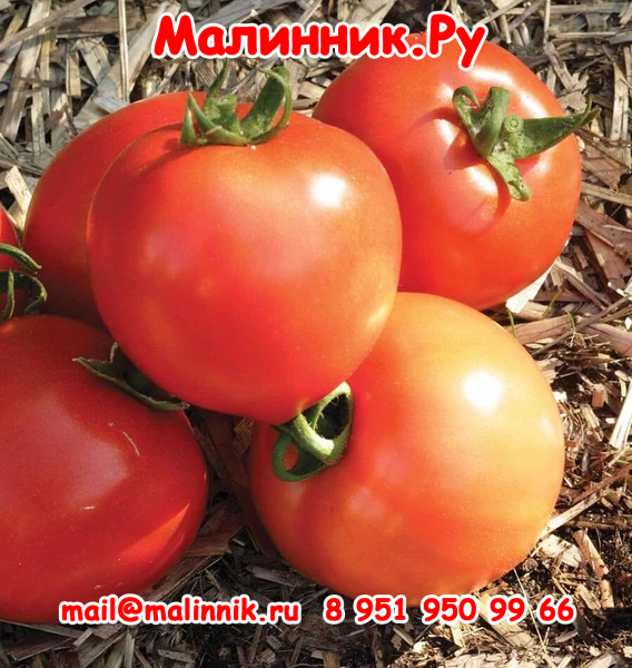 20 ультраранний