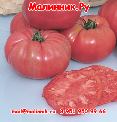 45 румянец петербурга