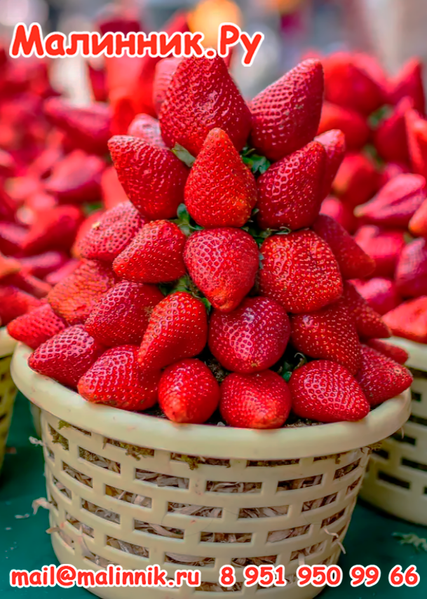 2024-09-13_18-01-44-2